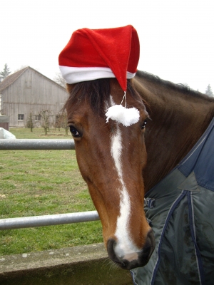 als Nikolaus