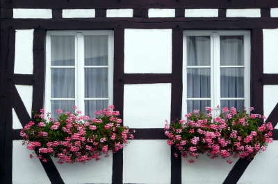 Fachwerkhausfenster zu Nideggen in der Rureifel