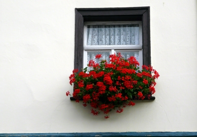 romantisches Fenster in Nideggen (Rureifel) #3