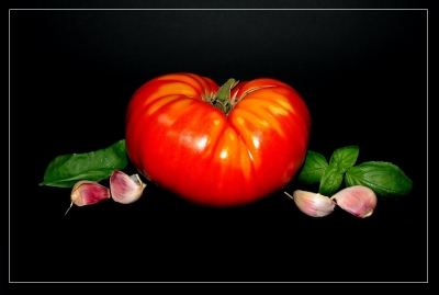 Tomaten 39