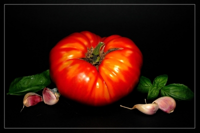 Tomaten 40