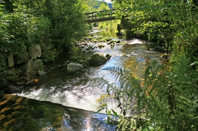 Tonbach mit Brücke
