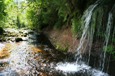 Tonbach mit Wasserfall