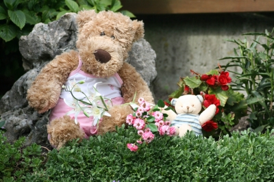 Teddy im Garten