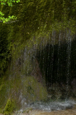 Naturdenkmal Dreimühlen-Waserfall bei Nohn (Vulkaneifel) #7