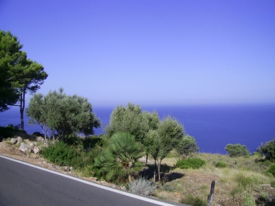 Mallorca 2008_7