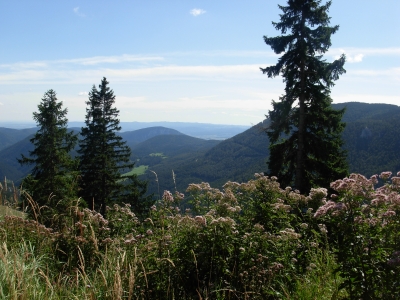 Schneeberg 2008