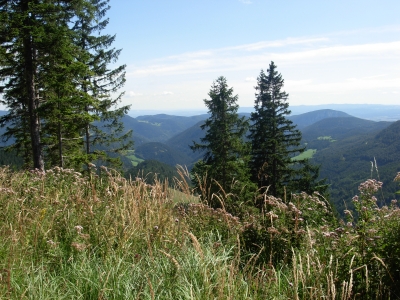 Schneeberg 2008