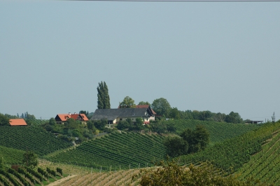 Südsteiermark