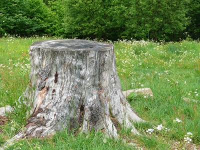 noch als Sitzplatz zu nutzen..