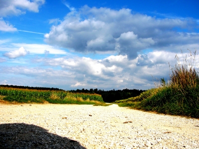 Feldweg bei Hessdorf