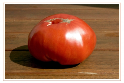 Tomaten 42