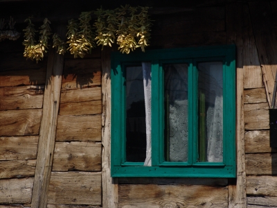 groent vindue med boenner