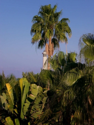 Leuchtturm hinter Palmen