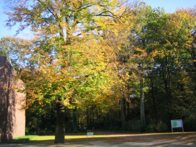 Friedhof im Herbst