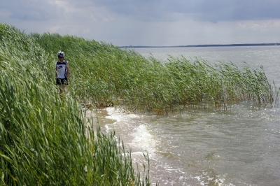 Junge am Achterwasser