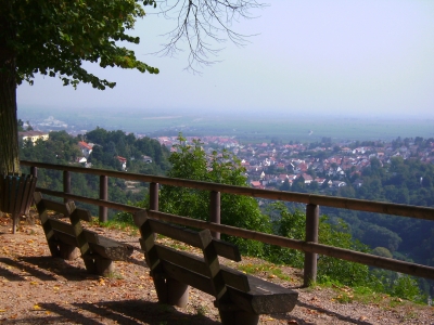 Ausblick auf Bad Dürkheim