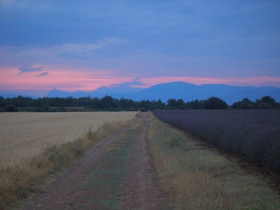 Morgenstimmung in der Haute Provence