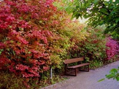 der Herbst von seiner schönen Seite