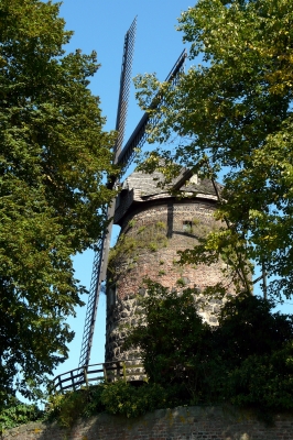 Windmühle zu Zons am Rhein