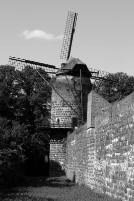 Windmühle zu Zons am Rhein in b&w