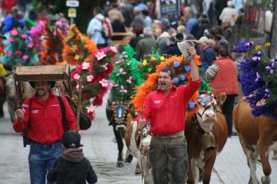 Almabtrieb in Wildschönau am 20.Sept. 2008