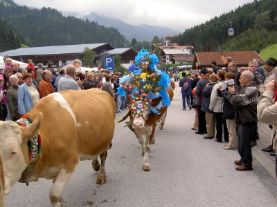 Almabtrieb in Wildschönau am 20.Sept. 2008