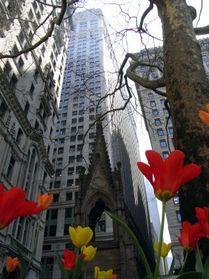 Frühling in New York