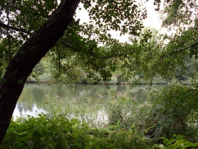 Unbekannter Teich