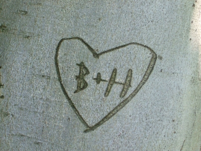 b liebt h