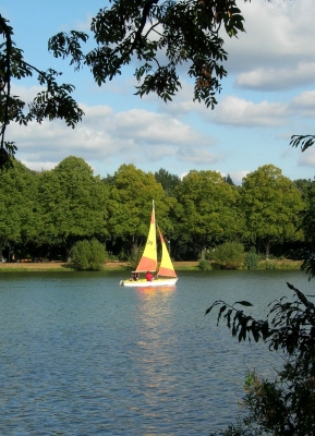 Segelboot auf dem Maschsee / Hannover