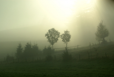 Landschaft im Herbst