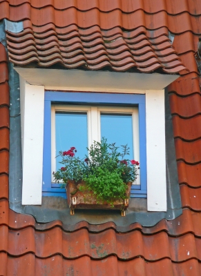 Dachfensterchen