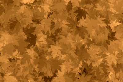 Hintergrund - Herbstlaub monochrom