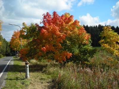 Herbst