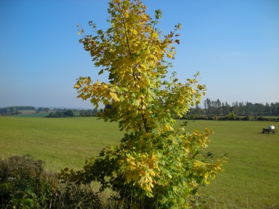 herbststimmung