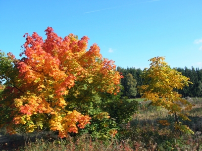 Herbstfarben