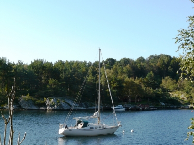 Segelboot am Tregdeveien