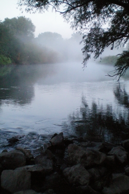 Frühnebel