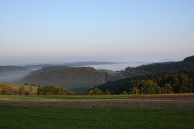 Morgennebel