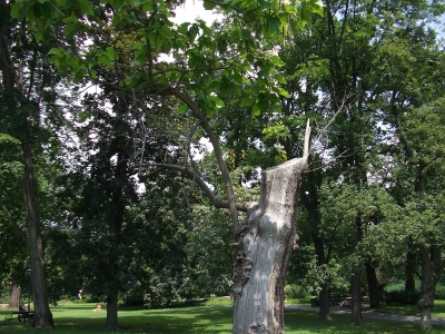 stadtpark 6