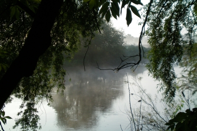 Blick auf die Leine