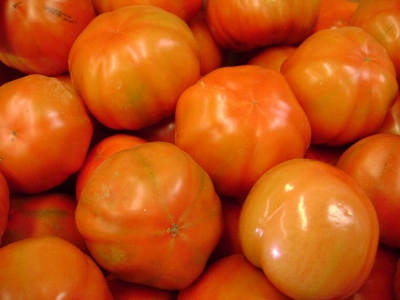 Bio-Tomaten