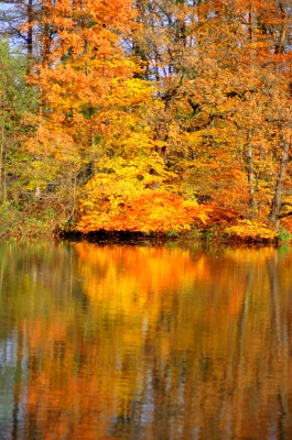 Herbstsee in Deinste