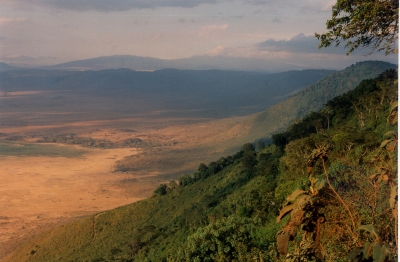 Der Ngorongorokrater