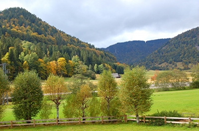 Herbststimmung im Schwarzwald