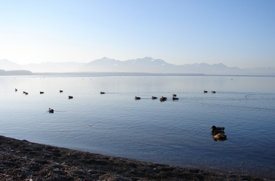 Chiemsee