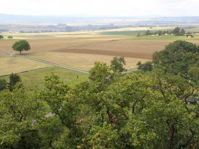 die Wetterau