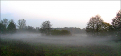 Nebel III