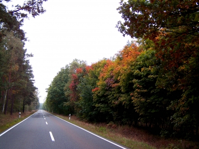 Fahrt in den Herbst